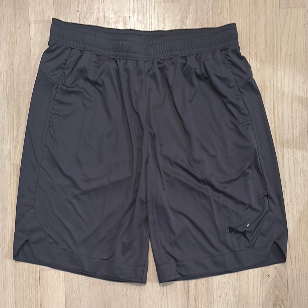 NWT Puma Shiny Fabric Athletic Shorts Moisture-Wicking Performance size XLT